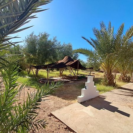 Jardin Du Desert M’hamid El Ghizlane Exterior foto